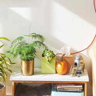 https://www.gardensummerhouses.com/wp-content/uploads/2018/09/post_02-320x320.jpg