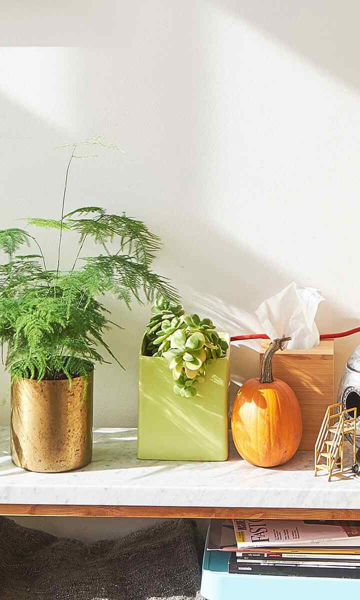 https://www.gardensummerhouses.com/wp-content/uploads/2018/09/post_02-720x1200.jpg