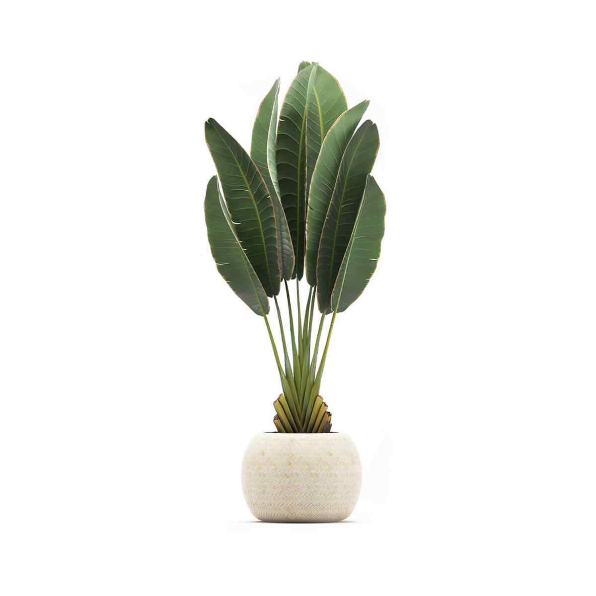 https://www.gardensummerhouses.com/wp-content/uploads/2018/09/product_06.jpg