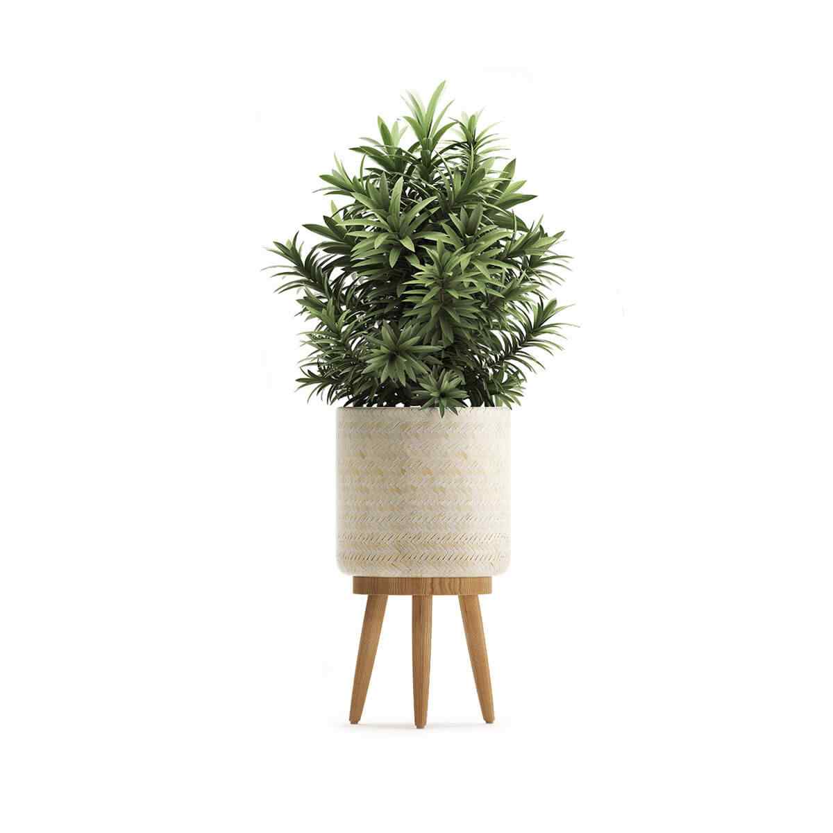 https://www.gardensummerhouses.com/wp-content/uploads/2018/09/product_08.jpg