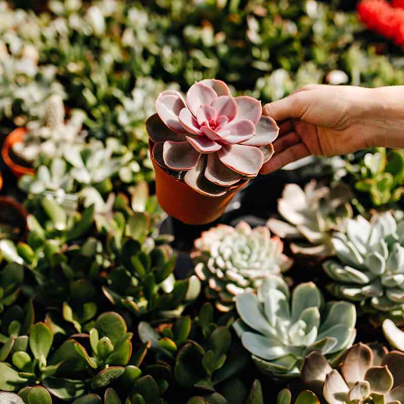 https://www.gardensummerhouses.com/wp-content/uploads/2019/09/card_22.jpg