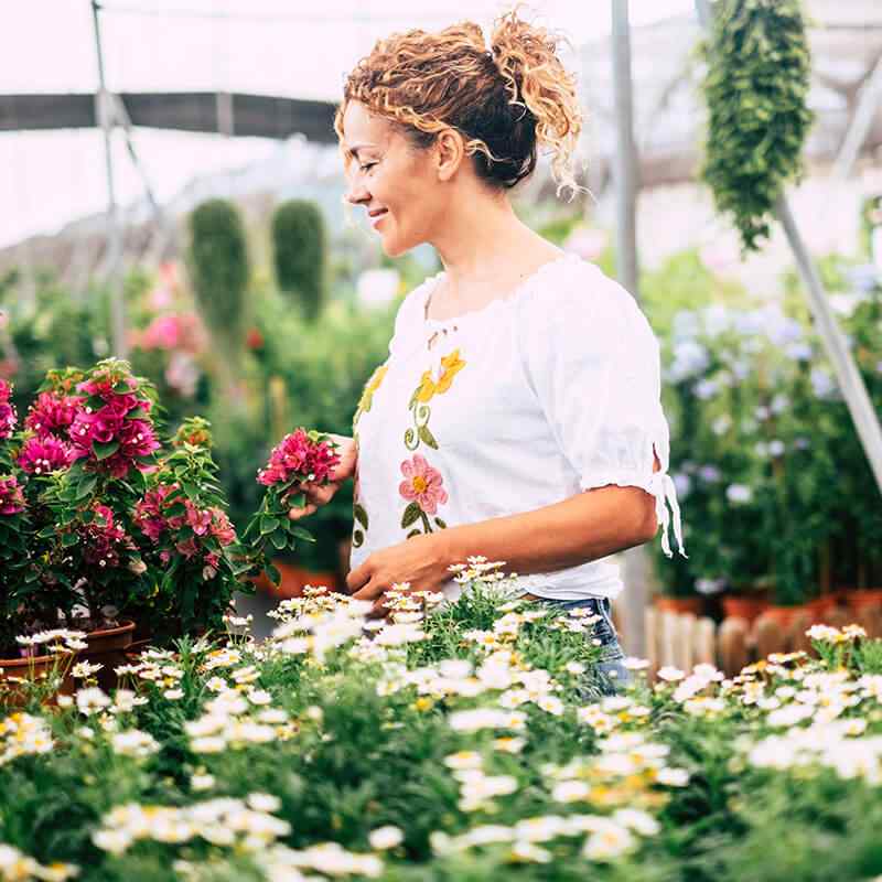 https://www.gardensummerhouses.com/wp-content/uploads/2019/09/card_24.jpg