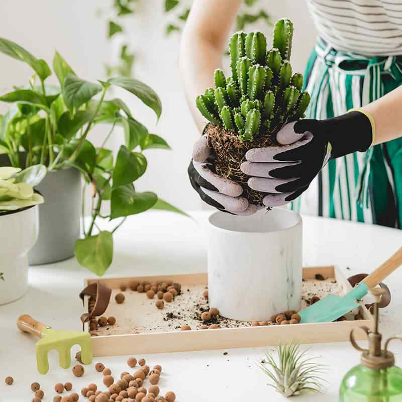 https://www.gardensummerhouses.com/wp-content/uploads/2019/09/card_26.jpg