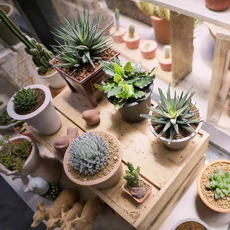 https://www.gardensummerhouses.com/wp-content/uploads/2019/09/card_28.jpg