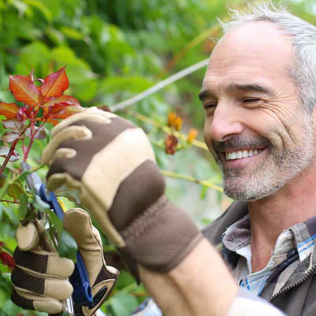 https://www.gardensummerhouses.com/wp-content/uploads/2019/09/team_02-640x640.jpg