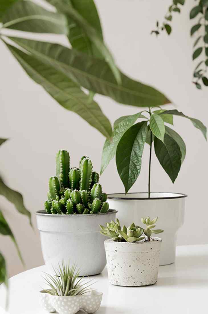 https://www.gardensummerhouses.com/wp-content/uploads/2019/10/inner_quote.jpg