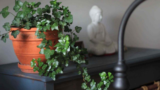 https://www.gardensummerhouses.com/wp-content/uploads/2019/10/portfolio_07-640x360.jpg