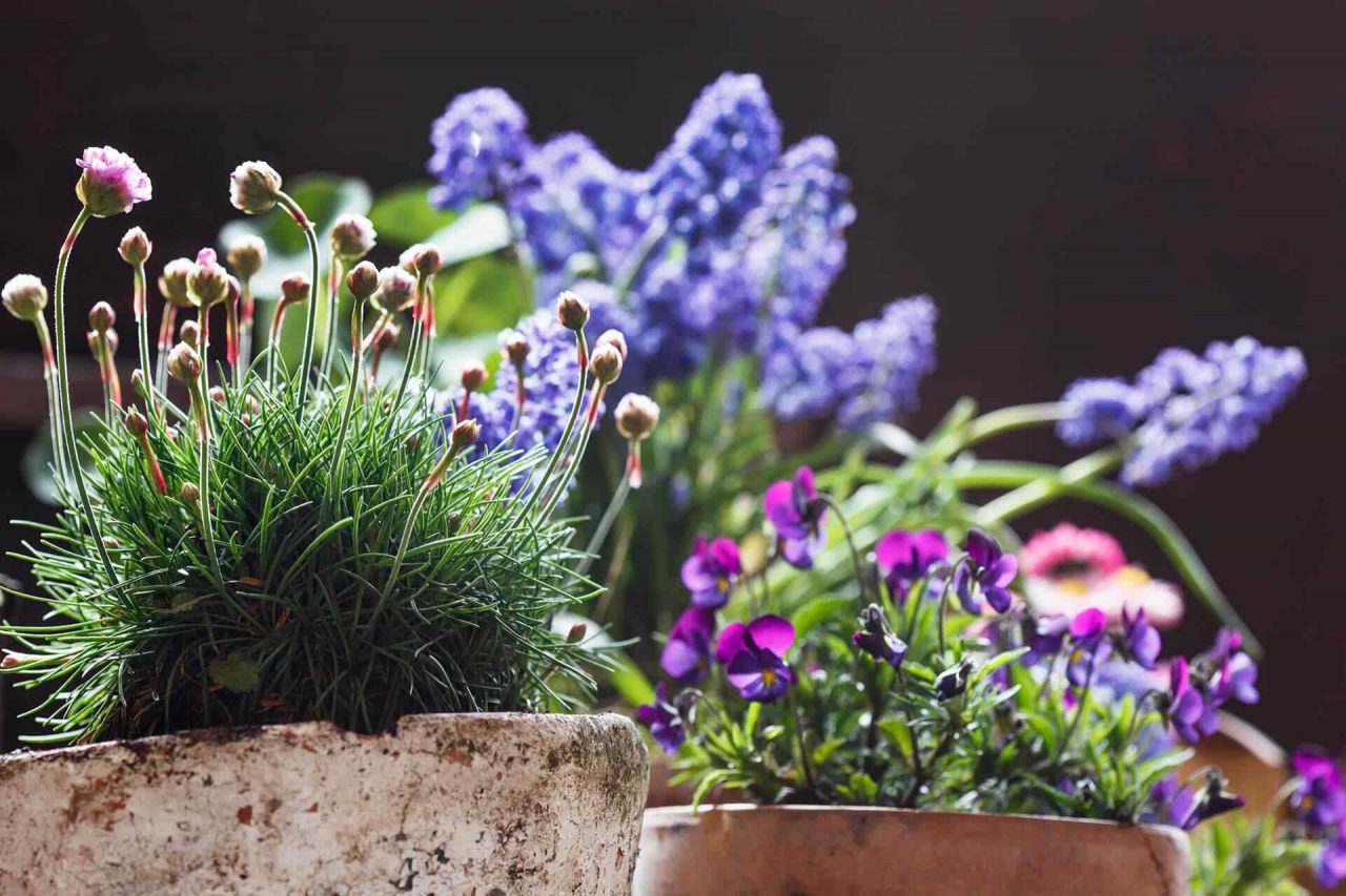 https://www.gardensummerhouses.com/wp-content/uploads/2019/10/portfolio_10-1280x853.jpg