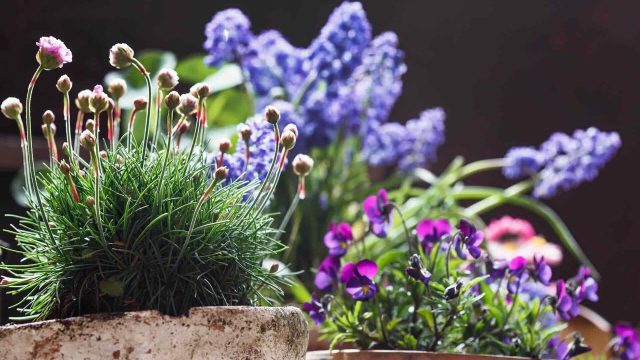 https://www.gardensummerhouses.com/wp-content/uploads/2019/10/portfolio_10-640x360.jpg