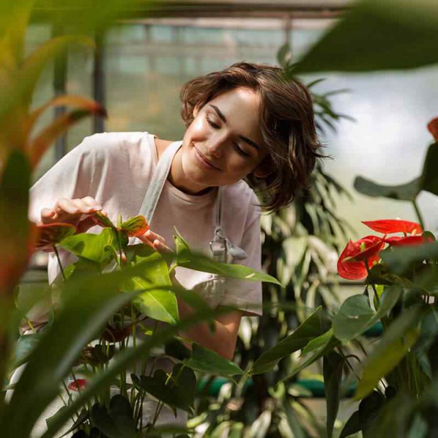 https://www.gardensummerhouses.com/wp-content/uploads/2019/10/team_08-640x640.jpg
