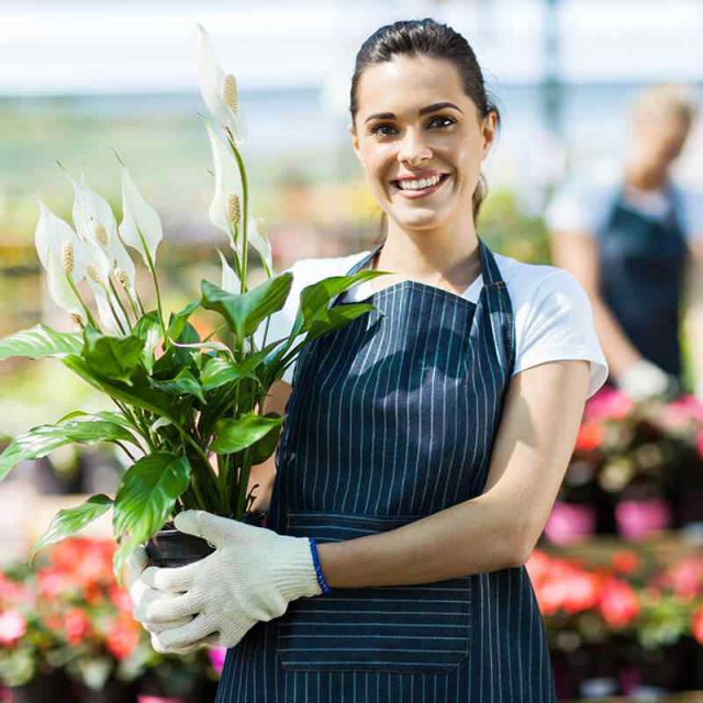 https://www.gardensummerhouses.com/wp-content/uploads/2019/10/team_10-640x640.jpg